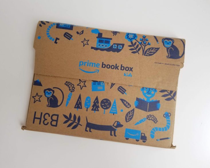 Amazon Books Kids Age 3-5 June 2019 box