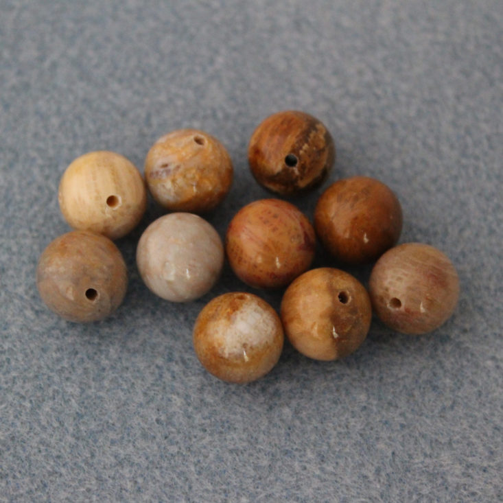 Bargain Bead Box August 2019 - 10 Pieces 10mm Fossil Coral Round Beads Top