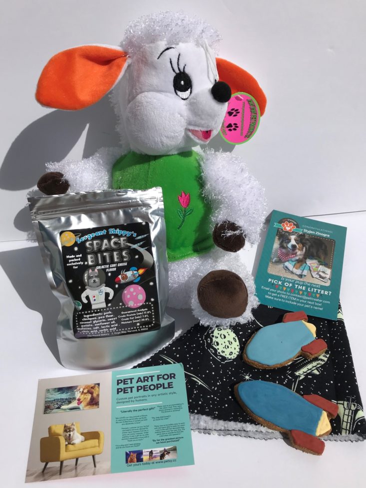 Mini Monthly Mystery Box For Dogs August2019 - All Items Laidout