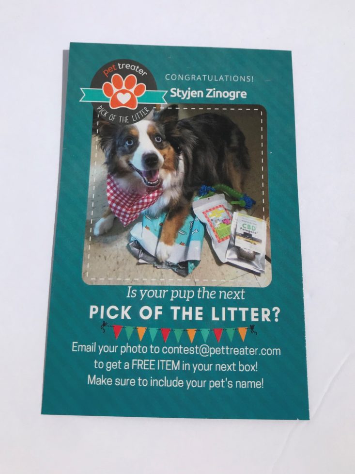 Mini Monthly Mystery Box For Dogs August2019 - Pick Of The Litter Card Back