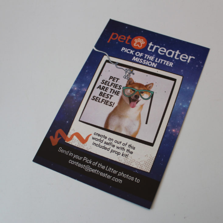 Pet Treater Subscription Box August 2019 - Booklet Back Top