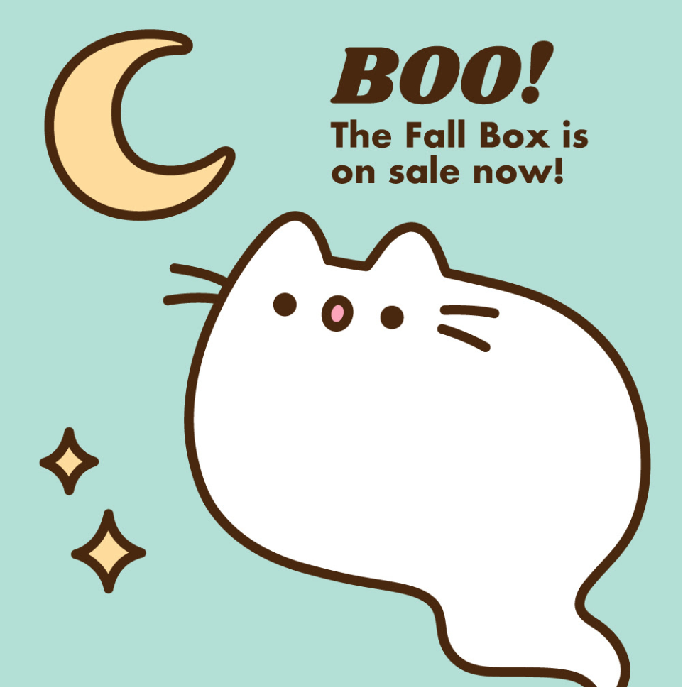 Pusheen Box Fall 2019 Spoiler #1! | MSA