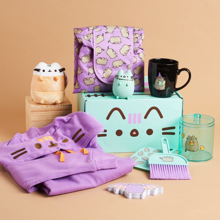 group of 8 Pusheen items surrounding box