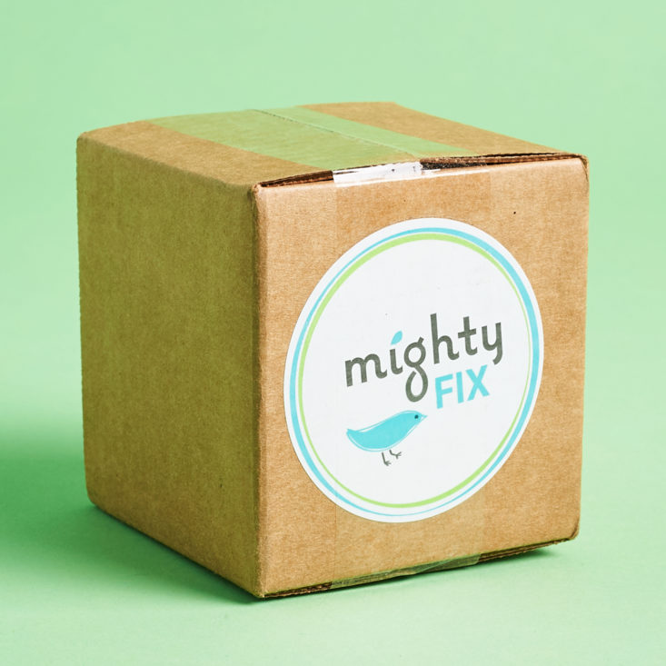 Mighty Fix November 2019 subscription box review