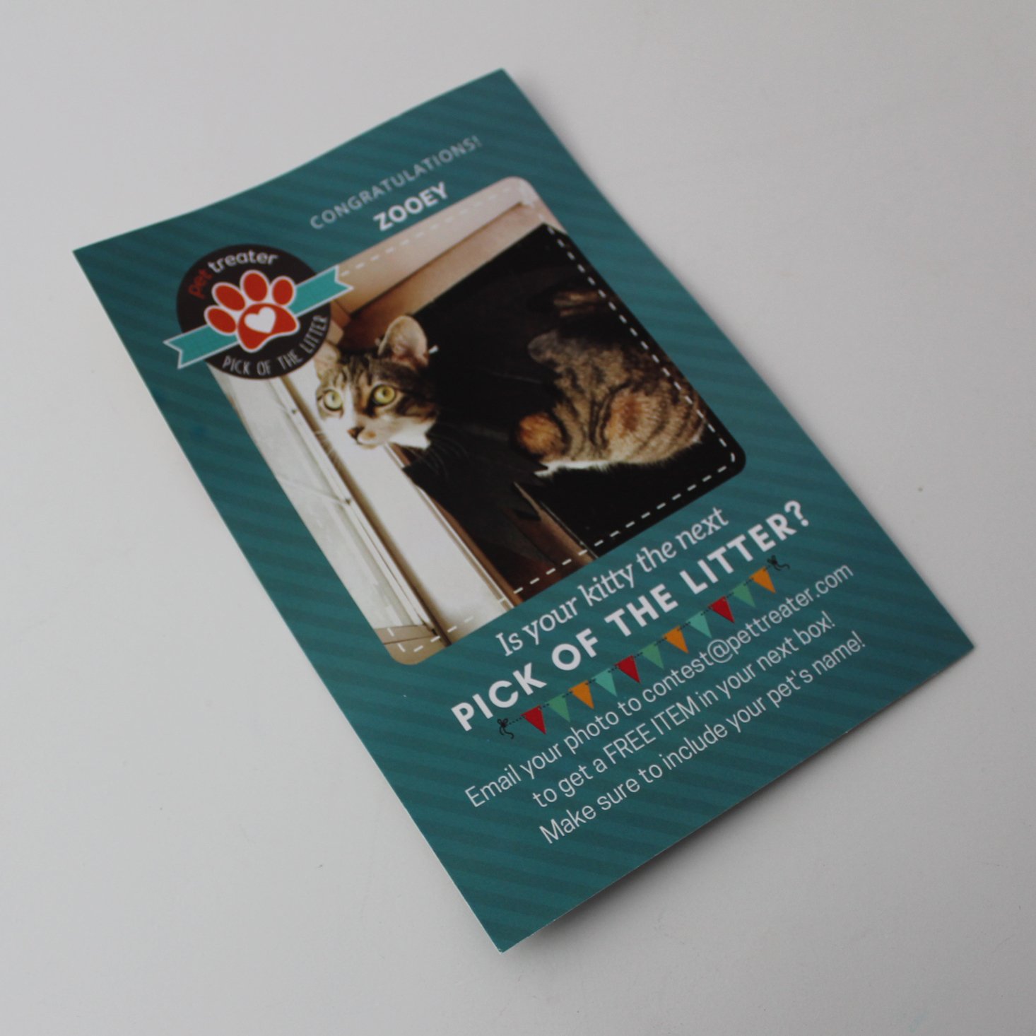 Pet Treater Cat November 2019 Booklet Front