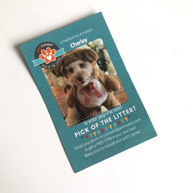 Pet Treater Dog November 2019 Info Card